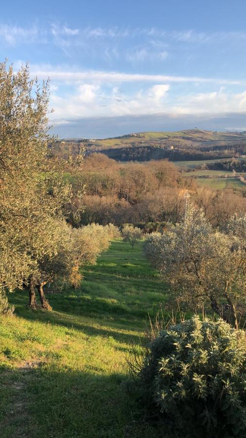 Villa Il Capanno à Asciano Extérieur photo