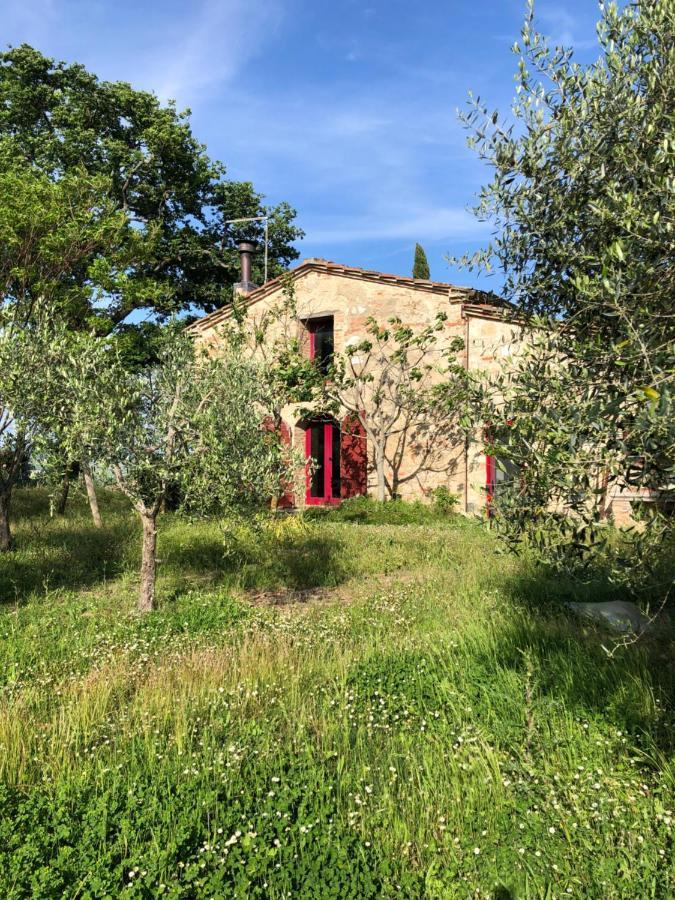 Villa Il Capanno à Asciano Extérieur photo
